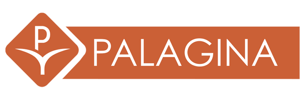 logo palagina